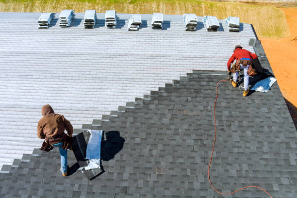 Best Roof Gutter Cleaning  in Susan Moore, AL